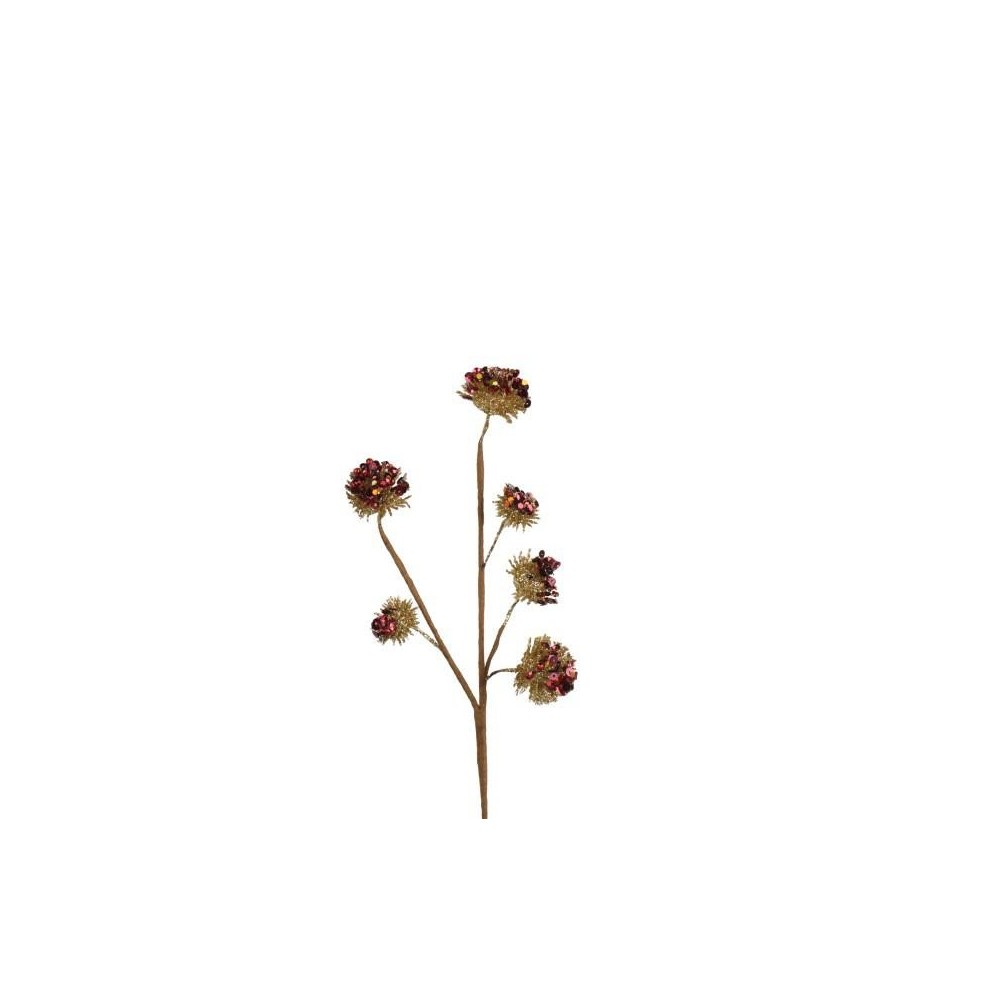 ALLIUM RAMO X 6 ROSSO ORO H.30